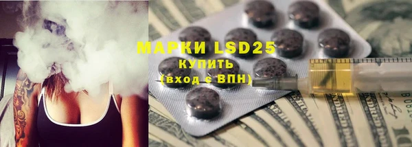 PSILOCYBIN Кулебаки