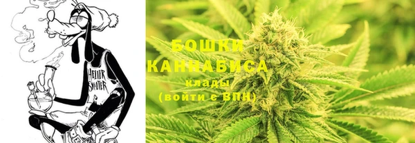 PSILOCYBIN Кулебаки