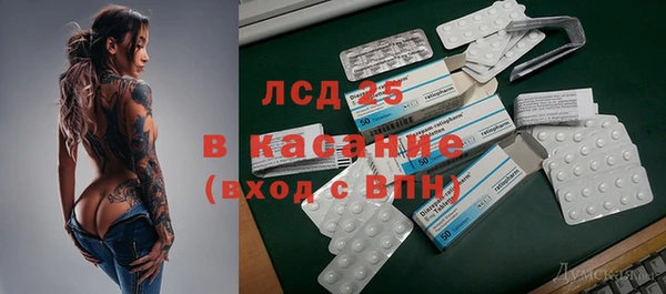 PSILOCYBIN Кулебаки