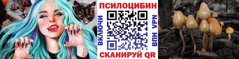 Галлюциногенные грибы Cubensis  ОМГ ОМГ вход  Саров 